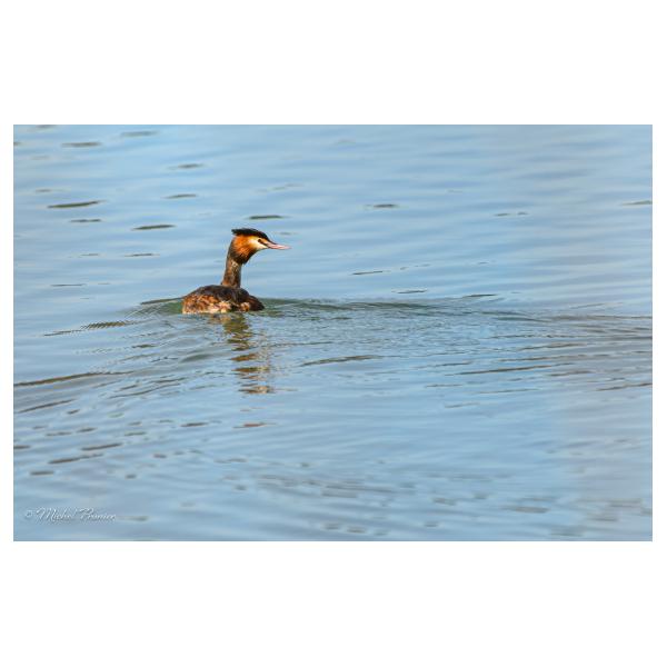 PHOTO84, CLUB, 84 , LUBERON